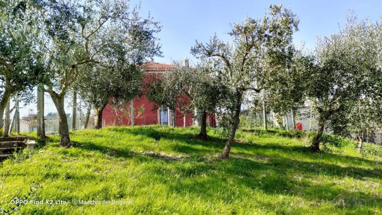 Agriturismo Macchia Dei Briganti - B&B Montefalcione Extérieur photo