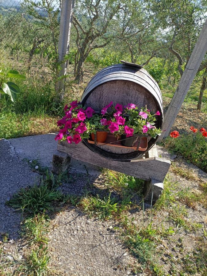 Agriturismo Macchia Dei Briganti - B&B Montefalcione Extérieur photo